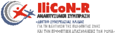 19a ilicon r